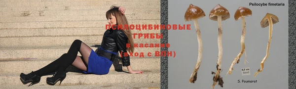 ПСИЛОЦИБИНОВЫЕ ГРИБЫ Абинск